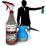 Chemicals To Kill Bed Bugs pictures