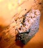 Bed Bugs Info photos