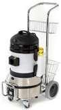 Steamer Bed Bugs pictures
