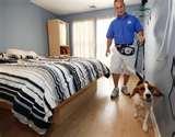 Bed Bug Dogs