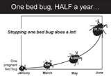 Bed Bug Service photos