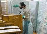 Treatment For Bed Bugs pictures