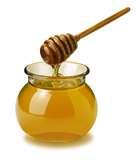 pictures of Natural Remedies For Bed Bugs