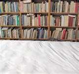 Bed Bug Service images