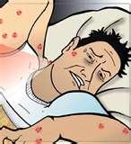 Bed Bug Treatment Cost pictures