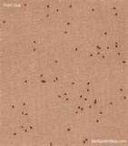 Bed Bug Sheets