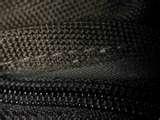 photos of Bed Bug Detection