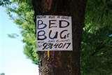 images of Insecticide For Bed Bugs
