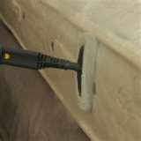 Steamer Bed Bugs pictures