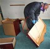 Bed Bug Service images