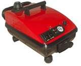 Steamer Bed Bugs