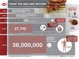 Bed Bugs Info images