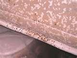 Bed Bugs Protection photos