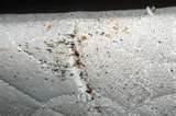 Checking For Bed Bugs images