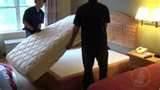 pictures of How To Rid Bed Bugs
