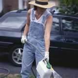 Bed Bugs Extermination Cost images
