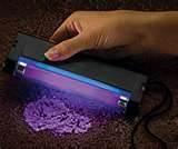 Bed Bug Light pictures