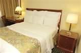 images of How To Fight Bed Bugs