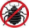 How To Stop Bed Bugs photos