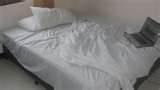 photos of How To Stop Bed Bugs