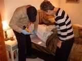 pictures of How You Get Bed Bugs pictures of How You Get Bed Bugs