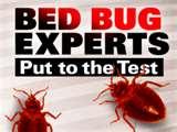 images of Bed Bug Experts