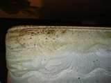 How You Get Bed Bugs pictures How You Get Bed Bugs pictures