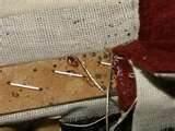 How To Rid Bed Bugs pictures