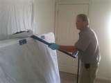 How To Spot Bed Bugs photos