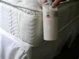 photos of Exterminator Bed Bugs