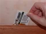 How To Stop Bed Bugs images