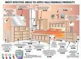 How To Treat Bed Bugs pictures