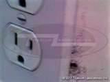 images of Exterminator Bed Bugs