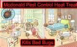 How To Treat Bed Bugs