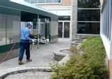 Exterminator Bed Bugs
