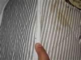 images of How You Get Bed Bugs images of How You Get Bed Bugs