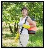 Exterminator For Bed Bugs