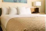 images of Bed Bug Chemicals
