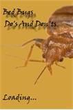 photos of Bed Bugs Solution