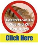 pictures of Bed Bugs Remedy pictures of Bed Bugs Remedy