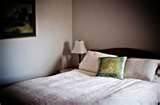 Where Do Bed Bugs Hide pictures