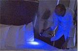 How To Test For Bed Bugs images