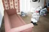 photos of Heat Treatment For Bed Bugs