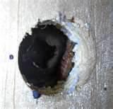 Where Do Bed Bugs Hide