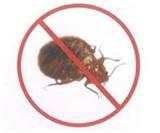 Bed Bug Remedy images