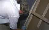 How To Protect Against Bed Bugs pictures