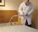 Bed Bug Exterminator pictures