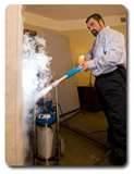 photos of Exterminator For Bed Bugs