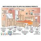 How Get Rid Of Bed Bugs images