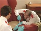 Bed Bug Inspection images
